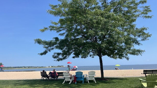 Una zona amb platja, un arbre, diverses cadires Adirondack i una tanca de fusta.