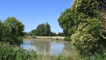 A calm river with dense greenery and trees on both sides.