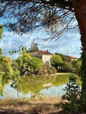 Property grounds - Villa Le Parc de Gouts – Your Spacious Estate with Heated Pool and Private Pond in Aiguillon (Aiguillon)