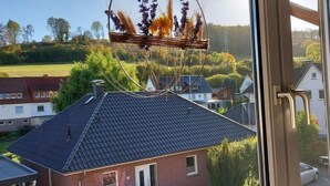 Une fenêtre donnant sur un quartier résidentiel, une maison avec un toit sombre et un pot suspendu contenant des plantes séchées.