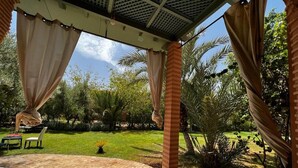Un'area patio all'aperto con una zona salotto coperta, pavimento in mattoni e vegetazione circostante, tra cui palme.