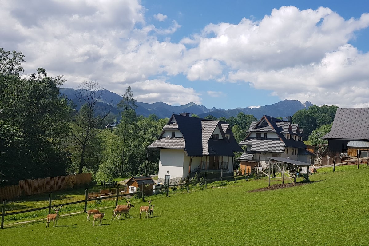 A rural village with traditional houses, a grassy hill, and mountains in the background.