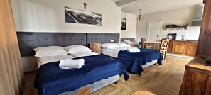 Individually furnished, iron/ironing board, bed sheets - Domek Gabi (Zakopane)