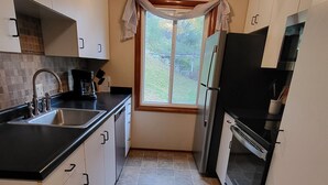 A kitchen with white cabinets, a black countertop, a stainless steel refrigerator, a built-in oven, and a window with a view of the outdoors. - Lovely 2 bedroom condo with nice amenities and on the bus line (Rochester)