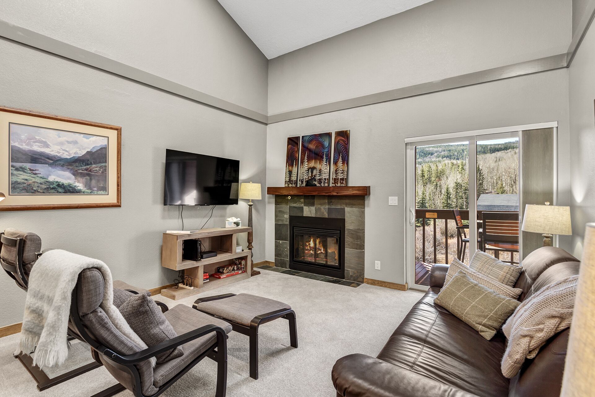 TV, fireplace
