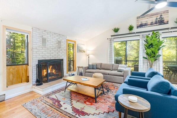 TV, fireplace, books, stereo