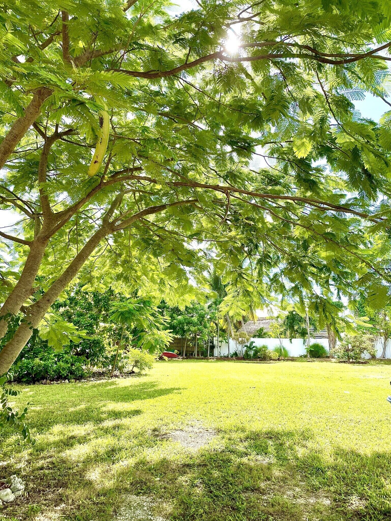 Tropical Island Sanctuary