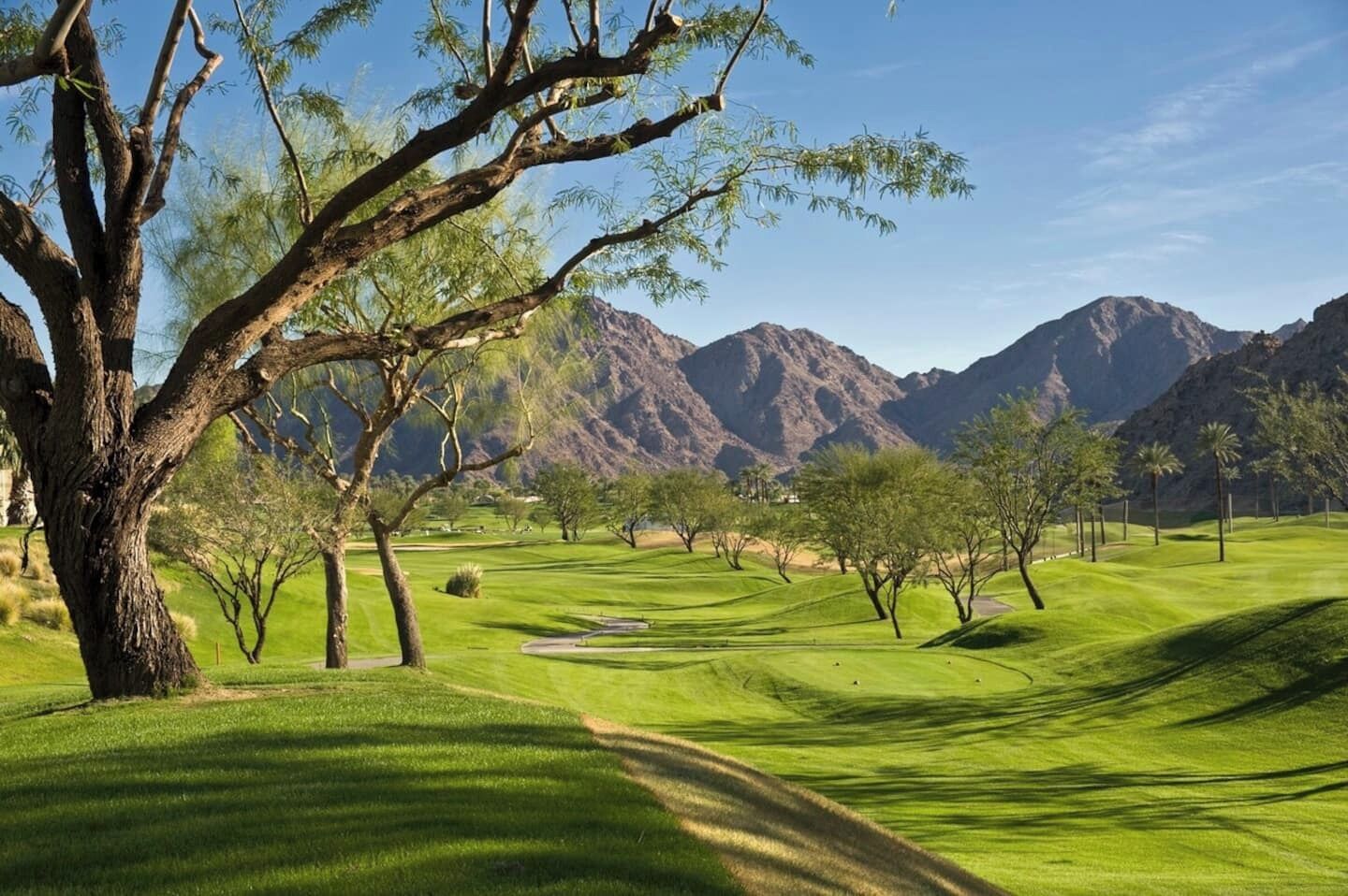 A golf course with a large tree in the foreground, a well-manicured green, and mountains in the background.