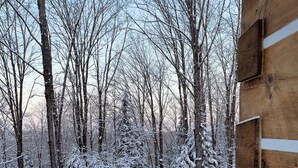 Puinen mökki, josta avautuu näkymä lumipeitteiseen metsään.