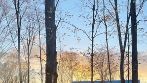 Mökki, jonka ympärillä on puita ja jonka yläpuolella on kirkas taivas.