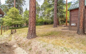 Une cabane rustique avec un toit en métal, entourée de grands arbres et d’une zone délimitée par une clôture.