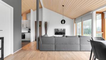 TV connectée, cheminée, chaßne hi-fi