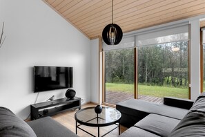 Smart TV, fireplace, stereo