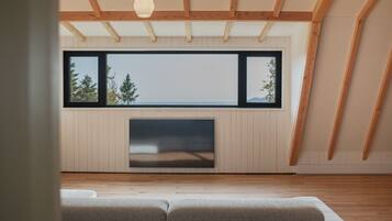 Smart TV, fireplace, table tennis, books