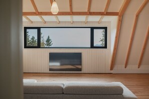 Smart TV, fireplace, ping pong, books