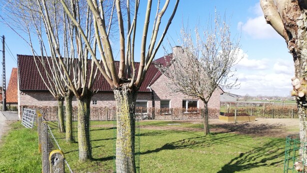 A rural property with a brick building, a fenced garden, and a clear sky. - Spacious quiet farmhouse between Lys and Scheldt, Belgium (Anzegem)