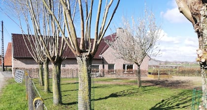 Spacious quiet farmhouse between Lys and Scheldt, Belgium
