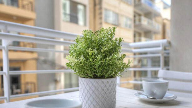 Ein Balkon mit einem Blumentopf, zwei weißen Tassen und einem weißen Tisch.