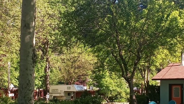 A park with picnic tables and chairs, surrounded by trees and a small building. - We have Cabins w/kitchenettes & RV spaces with full hookups! (Happy Camp)