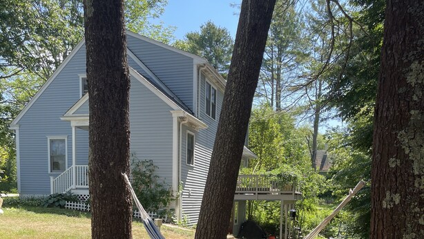 A hammock between two trees, a wooden bench with a cushion, and a house in the background.