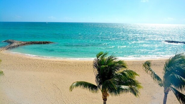 Een strand met helder turquoise water, een zandstrand en palmbomen.