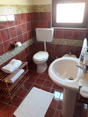 Regadera y bidet