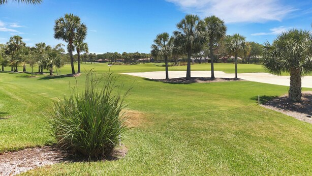 Un campo de golf con césped cuidado, bunkers de arena y palmeras.