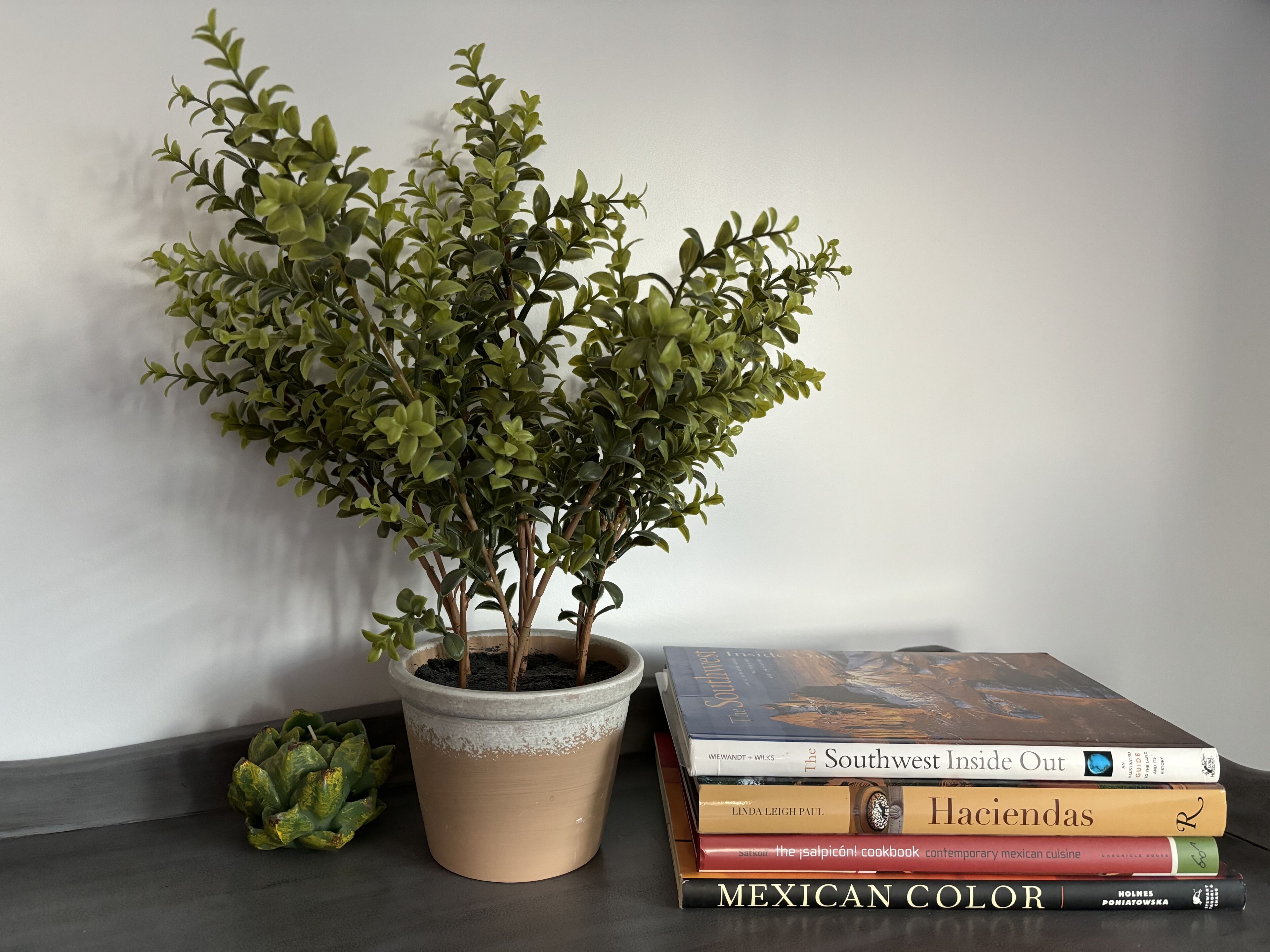 A potted plant next to a stack of books on a shelf.