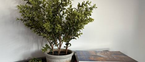 A potted plant next to a stack of books on a shelf.