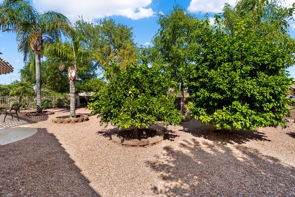 Um jardim com diversas árvores e um espaço de pátio com mobiliário externo.