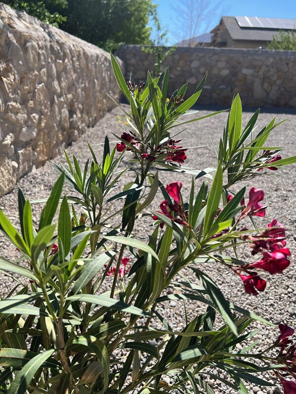 Áreas de la propiedad