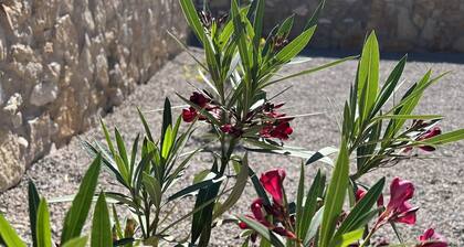 Cozy Transmountain El Paso Home with Garage, 4-Bed & 2-Living Areas