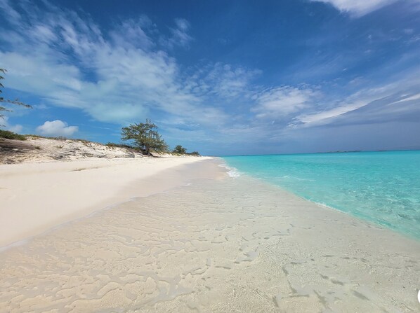 Beach - Villa Bella Vita/Close to Little Exuma/Ocean View (Exuma)