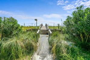 Walk along the boardwalk to a scenic bridge surrounded by lush greenery and tall grasses.