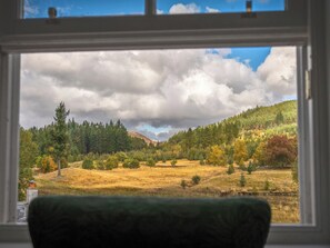 Interiør