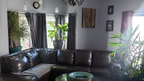 A modern living room with a leather sectional sofa, a glass coffee table, and a chandelier. - Cottage setup (New Bedford)