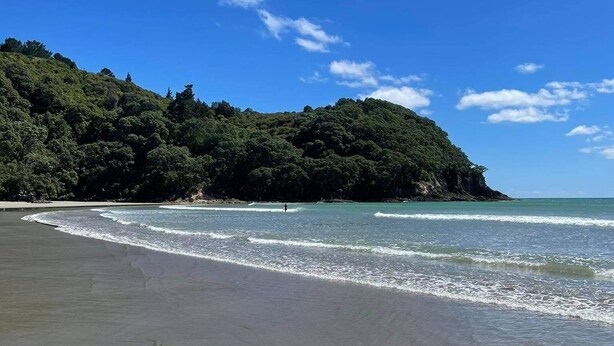 Ein Strand mit gewundener Küstenlinie, blauem Himmel und einem bewaldeten Hügel im Hintergrund.