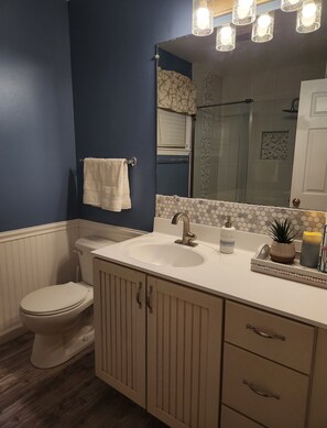 Combined shower/bathtub, hair dryer, towels, toilet paper