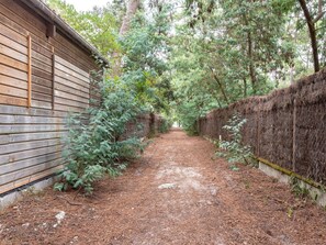 Escape to a secluded cabin surrounded by lush greenery, accessible via a winding pathway.