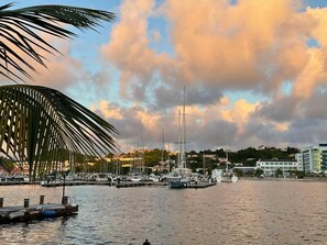 A marina with boats docked, a palm tree, and buildings in the background.