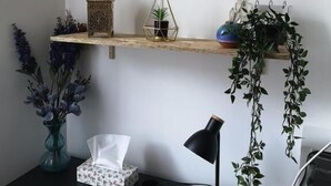 Un bureau avec un carnet, un stylo, une boîte de mouchoirs, une lampe et une plante suspendue.
