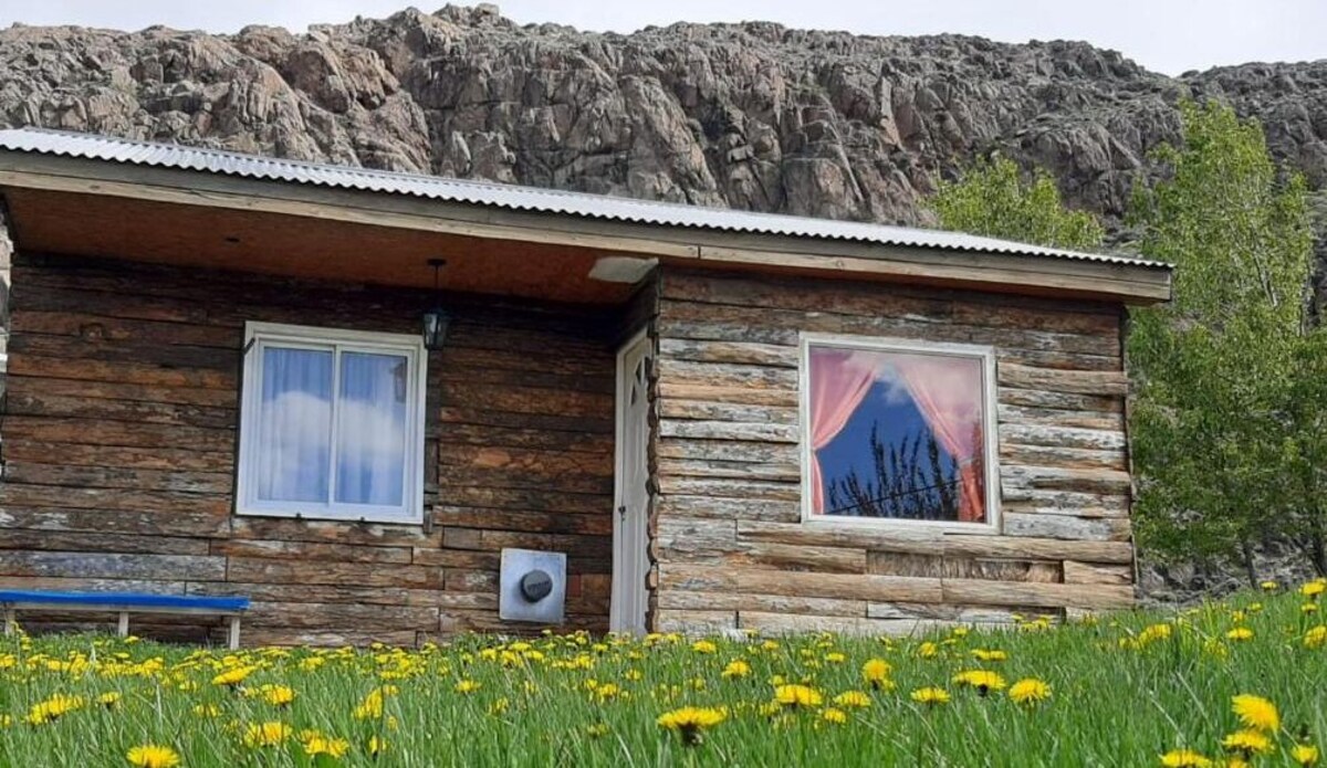 Værtens profilbillede