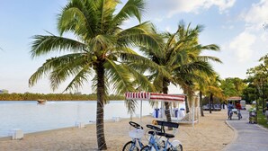 Una playa con palmeras, una bicicleta y un pequeño quiosco.