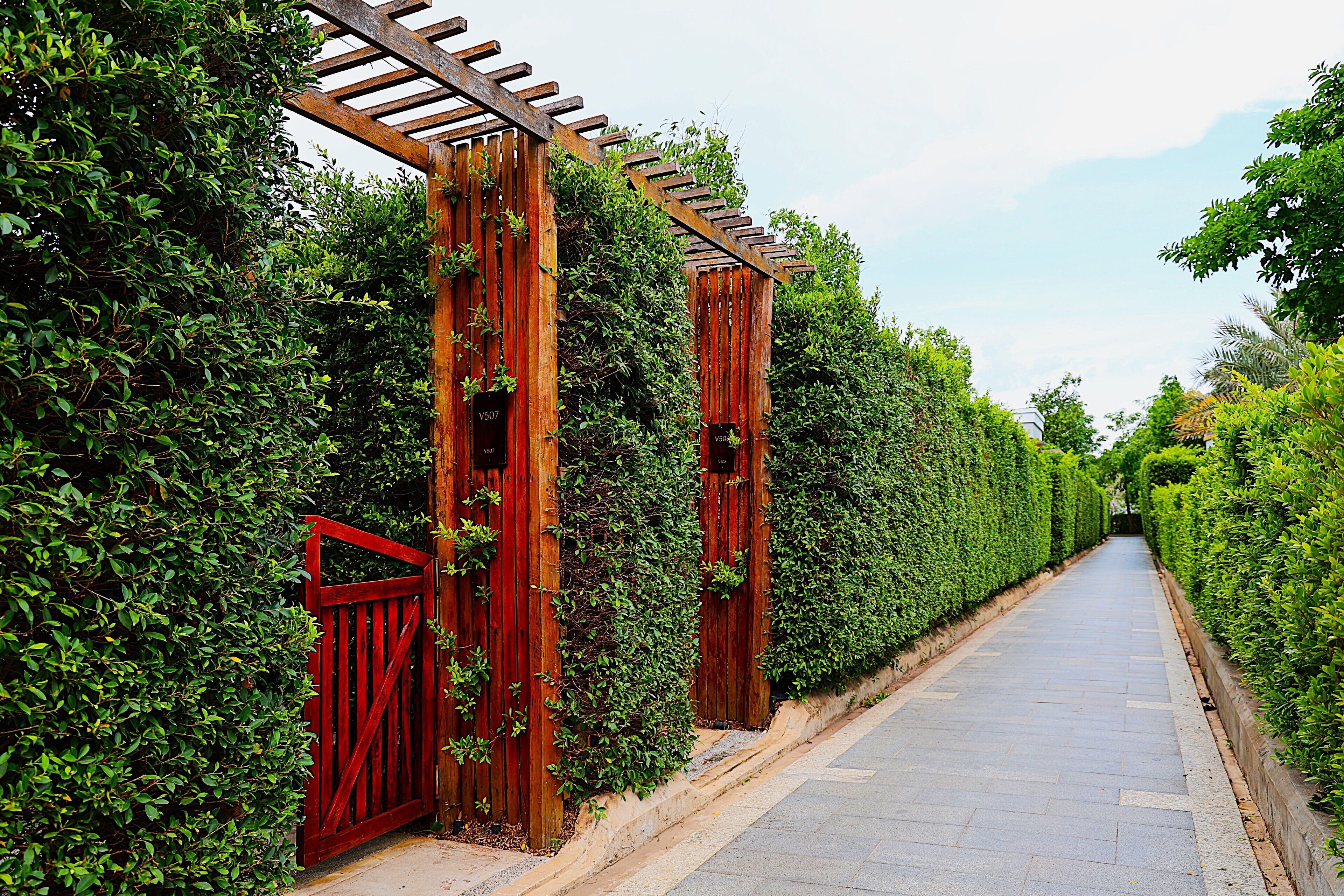 A pathway flanked by neatly trimmed hedges and a wooden pergola structure.