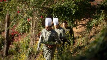 Des chefs en uniforme transportent des paniers remplis de produits frais dans un jardin.
