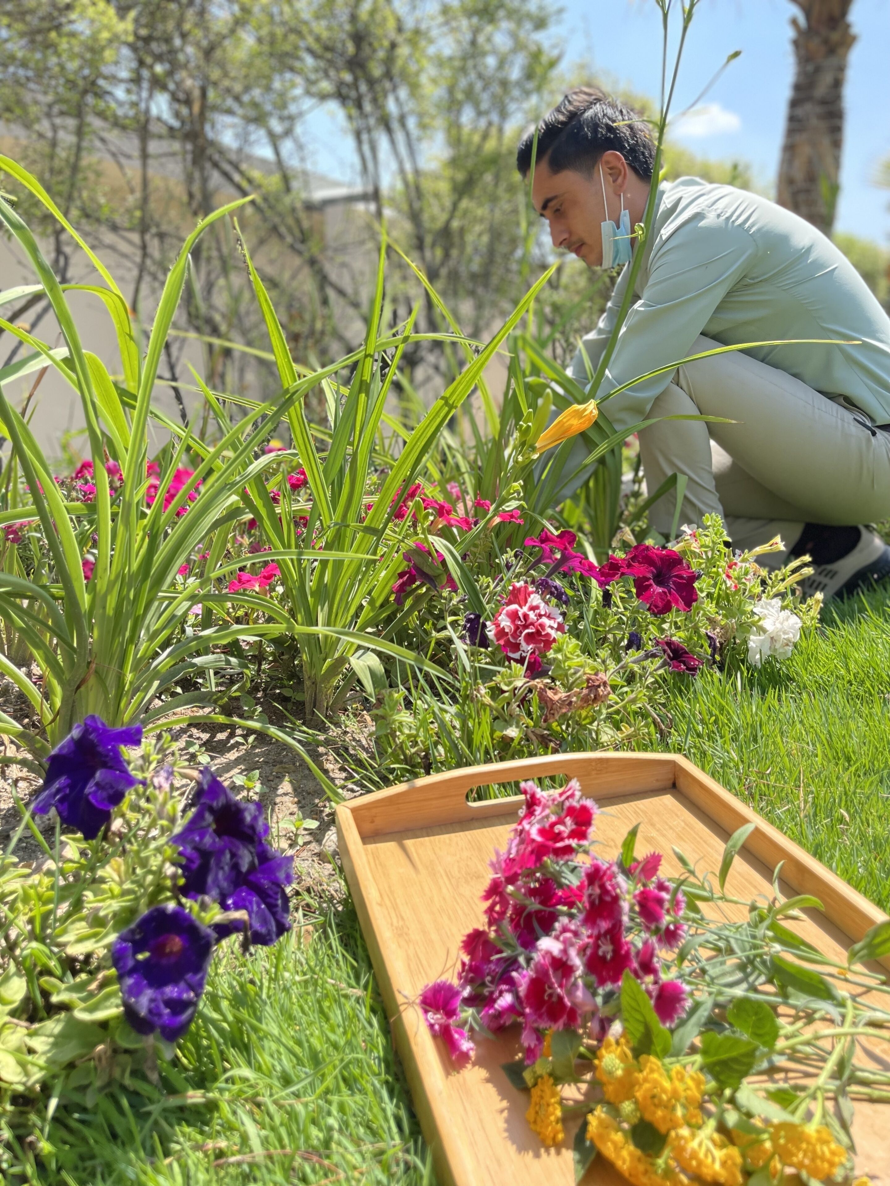 Iemand knielt op het gras en verzorgt een tuin met verschillende bloemen en planten.
