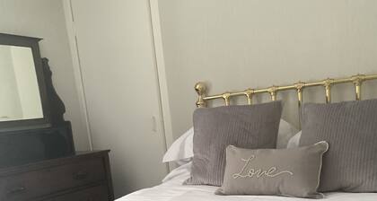 (CL) Large spacious central flat