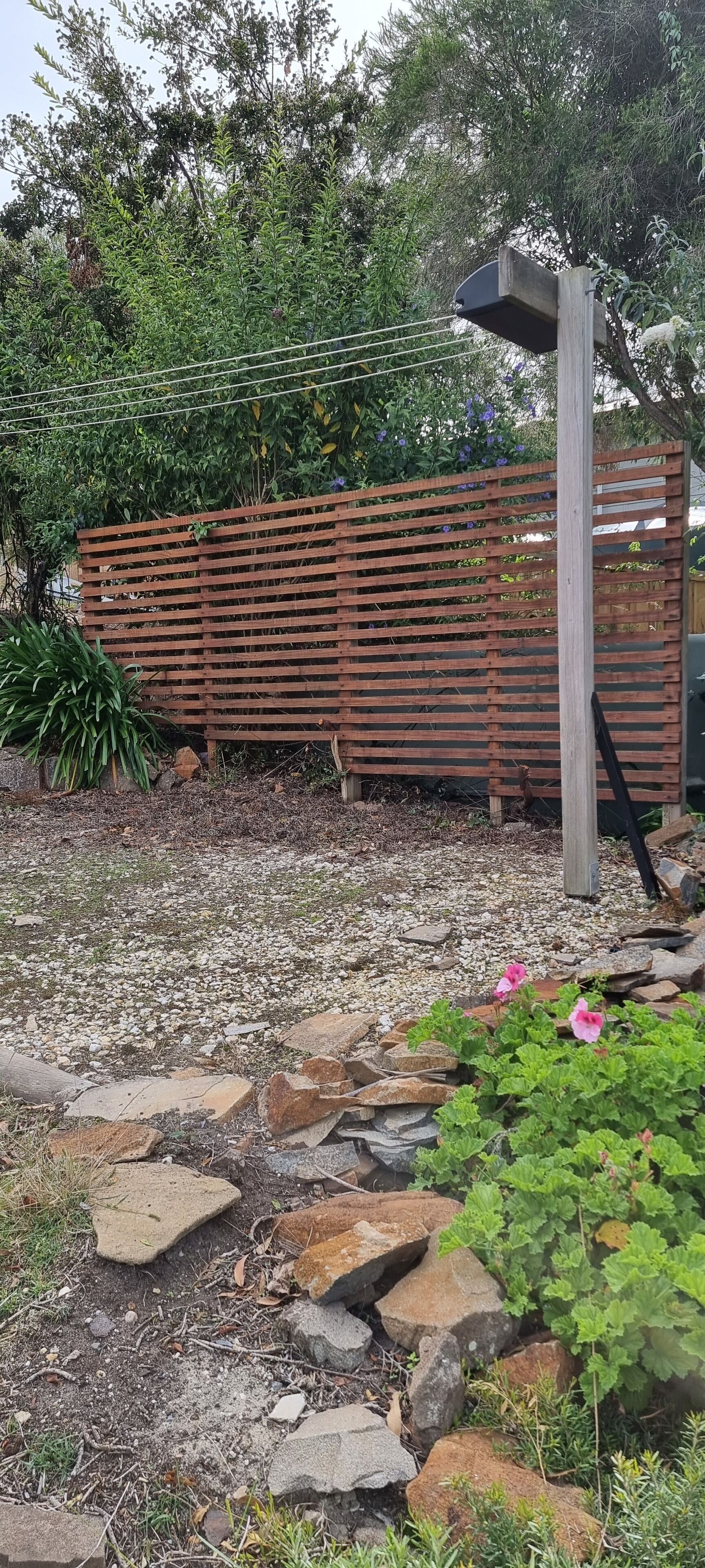 A garden with a wooden fence, a stone pathway, and various plants.