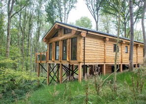 A wooden cabin elevated on stilts in a forest.
