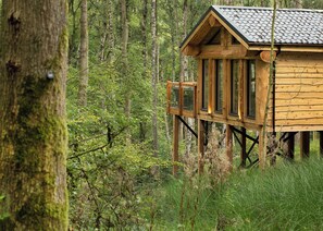 A wooden cabin with a raised platform and large windows, surrounded by a forest.